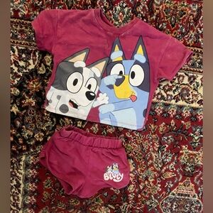 Bluey And Muffin toddler Outfit